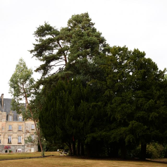 arboretum-bagnoles-orne-3