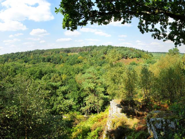 foret-andaines-gorges-villiers