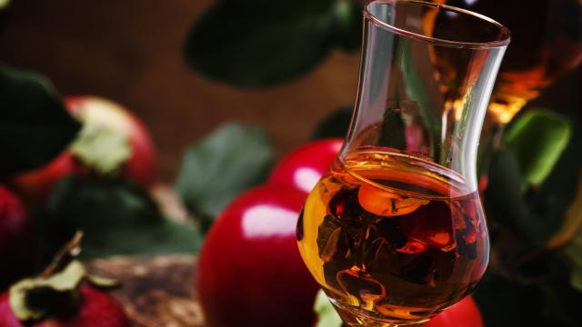 French apple strong alcoholic drink, still life in rustic style, vintage wooden background, selective focus