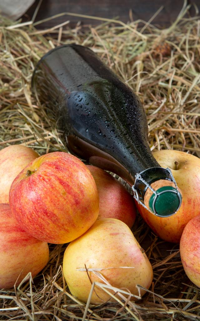 Bottle of cider with organic apples on the straw