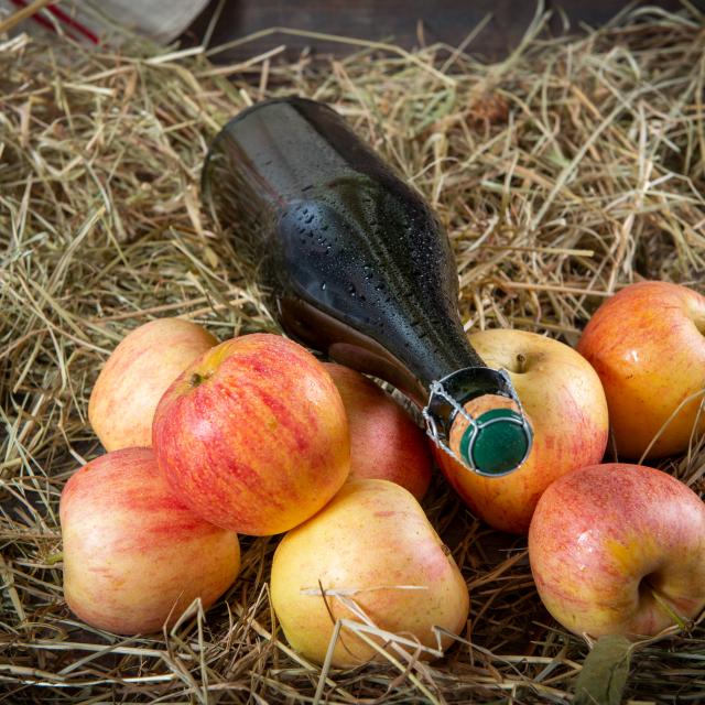 Bottle of cider with organic apples on the straw