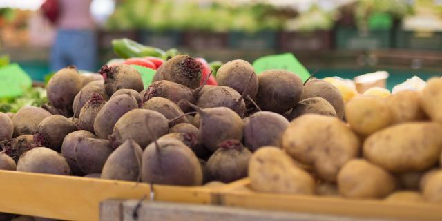 Farmers' food market stall with variety of organic vegetable. Vendor serving and chating with customers.