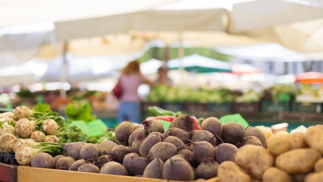 Farmers' food market stall with variety of organic vegetable. Vendor serving and chating with customers.