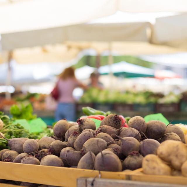 Farmers' food market stall with variety of organic vegetable. Vendor serving and chating with customers.