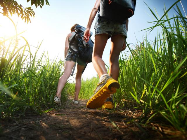 Two hikers with backpacks walking through lush green meadow