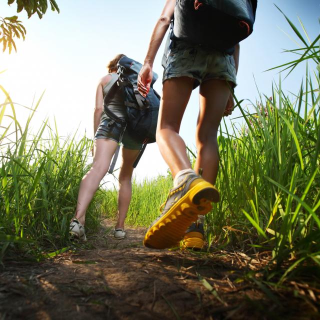 Two hikers with backpacks walking through lush green meadow