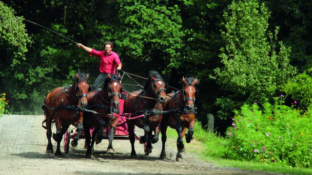 Juvigny Val Dandaine Michaudiere Ferme Cheval Trait Spectacle Equestre Bocage Normand