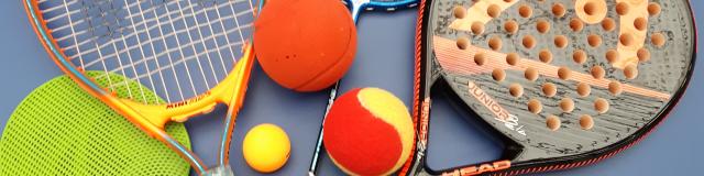 Bagnoles Orne Padel Tennis Ping Pong Multi Raquette Jeu Balle