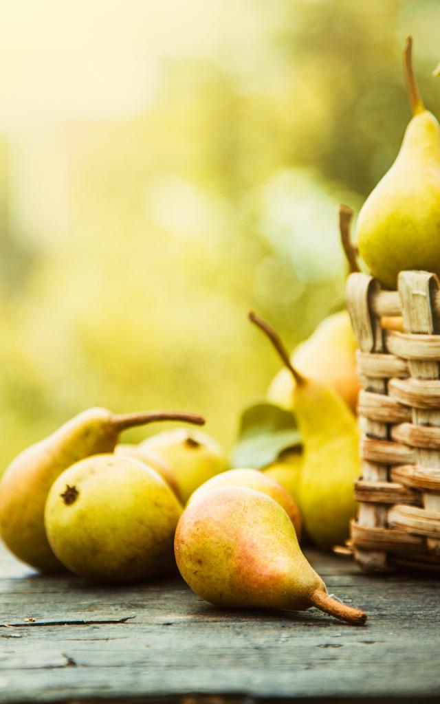 Autumn nature concept. Fall pears on wood. Thanksgiving dinner