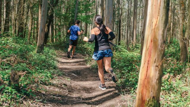 Young woman and man participating in a trail race through the forest