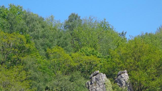 saut-du-capucin-agrandit.jpg