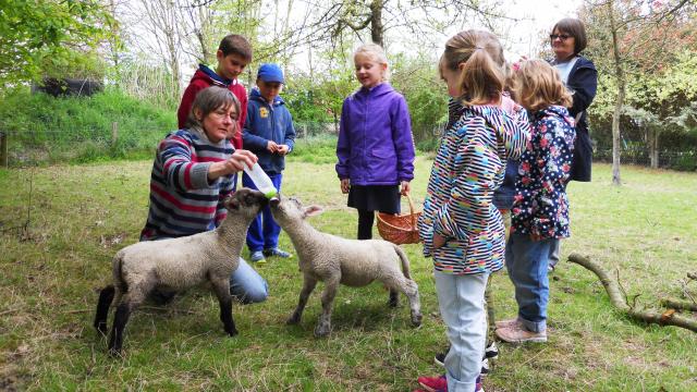 Bagnoles Orne Pom Producteur Cidre Terroir Pomme Jus Savoir Faire Visite Ferme Mouton