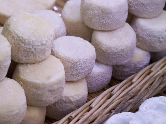 Petits fromages ronds sur panier en osier