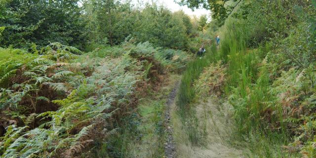 Bagnoles Orne Normandie Trail Course Coureur Traileur Ultra Jour 2