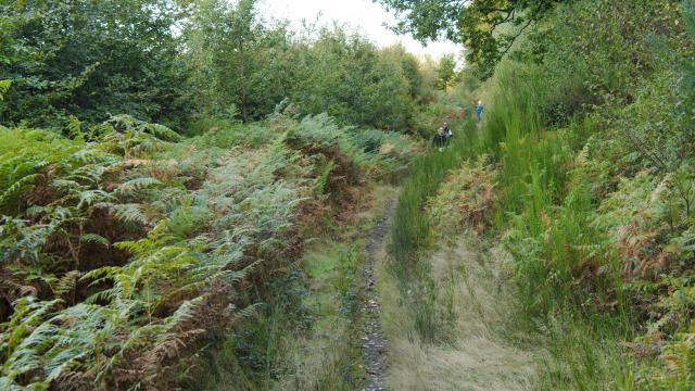 Bagnoles Orne Normandie Trail Course Coureur Traileur Ultra Jour 2