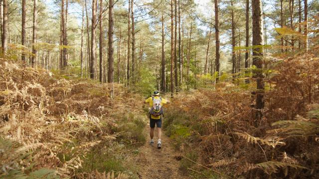 Bagnoles Orne Normandie Trail Course Coureur Traileur Ultra Jour 5