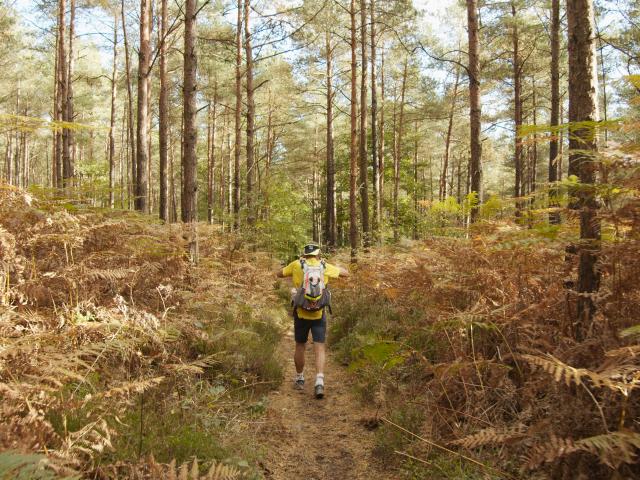 Bagnoles Orne Normandie Trail Course Coureur Traileur Ultra Jour 5