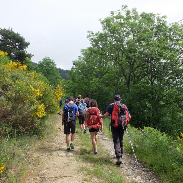 Bagnoles Orne Randonne Marche Balade Groupe Nature Foret Itineraire Circuit Adobestock