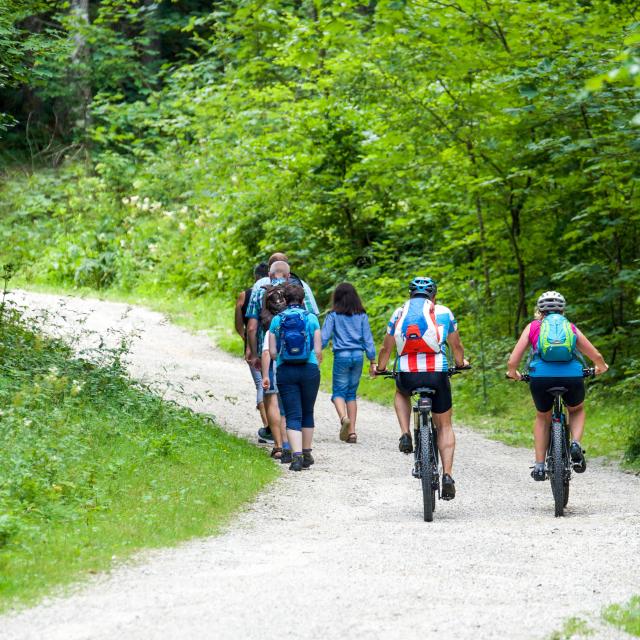 Bagnoles Orne Randonne Marche Velo Balade Groupe Nature Foret Itineraire Circuit Adobestock