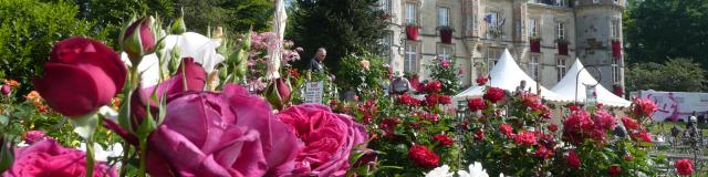 Bagnoles Orne Bebagnoles Fete Plantes Chateau Fleurs Roses Art Jardin