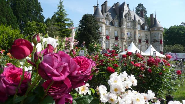 Bagnoles Orne Bebagnoles Fete Plantes Chateau Fleurs Roses Art Jardin