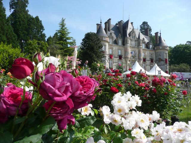 Bagnoles Orne Bebagnoles Fete Plantes Chateau Fleurs Roses Art Jardin