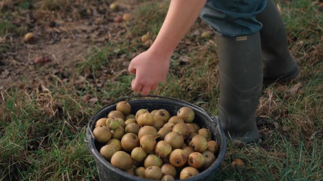 Bagnoles Orne Experiences Video Serie Portrait Tuto Rencontre Pore Terroir Gastronomie Recette Bebagnoles Normandie Martelliere