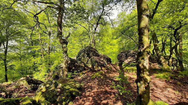 Bebagnoles Bagnoles Orne Normandie Rocher Broutin Nature Foret 3