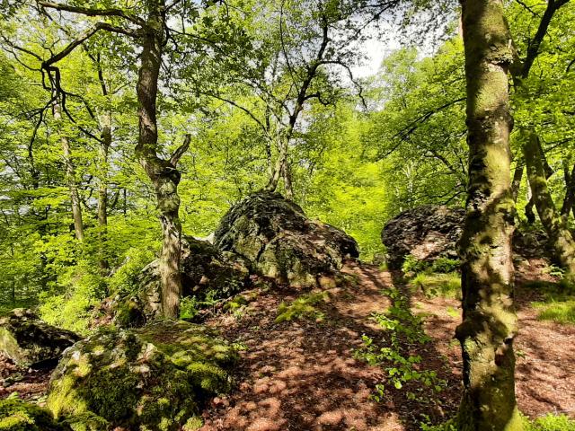 Bebagnoles Bagnoles Orne Normandie Rocher Broutin Nature Foret 3