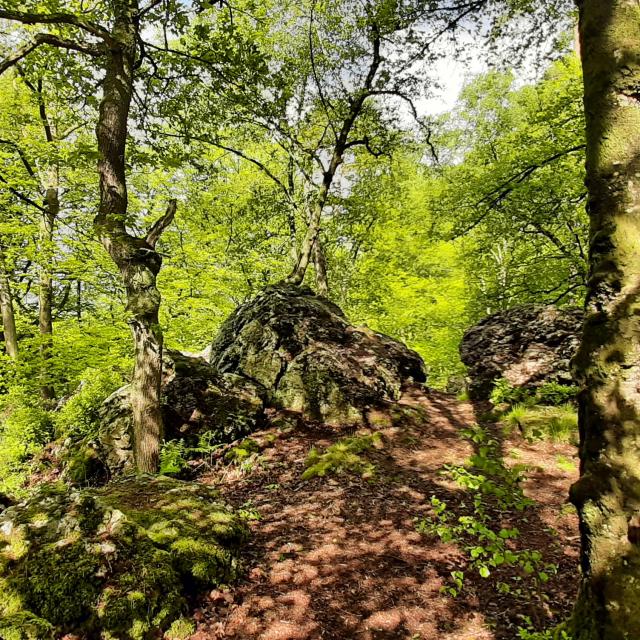 Bebagnoles Bagnoles Orne Normandie Rocher Broutin Nature Foret 3