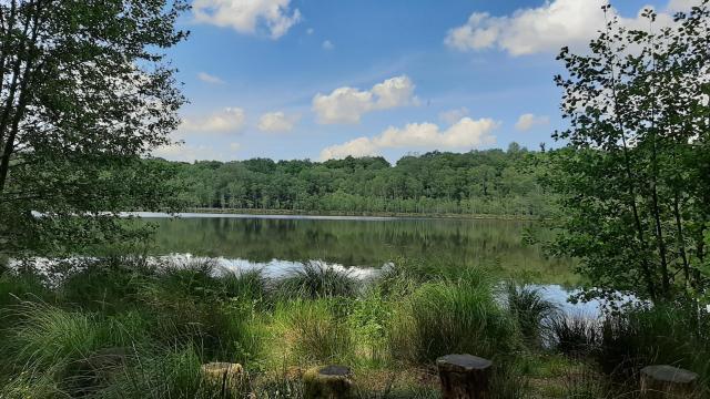 Bagnoles Orne Bebagnoles Ermitage Trail Circuit Etang Peche