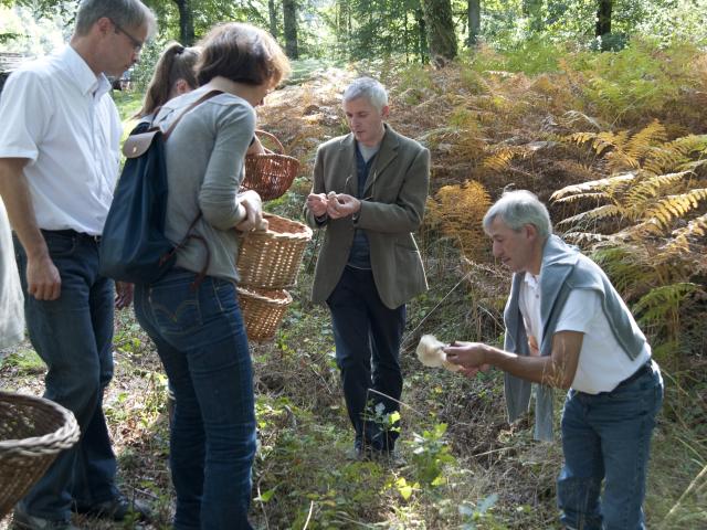 Bagnoles Orne Gastronomie Weekend Champignons Manoir Lys