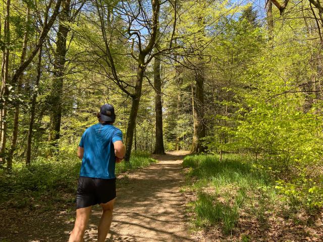 Bagnoles Orne Bebagnoles Boucle Trail Coureur Foret Arbres Soleil