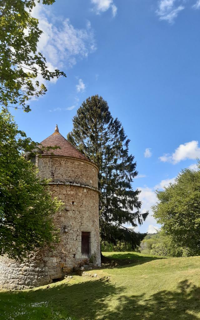 Bagnoles Orne Bebagnoles Tour Bonvouloir Tour Parc Soleil Arbres Rotated