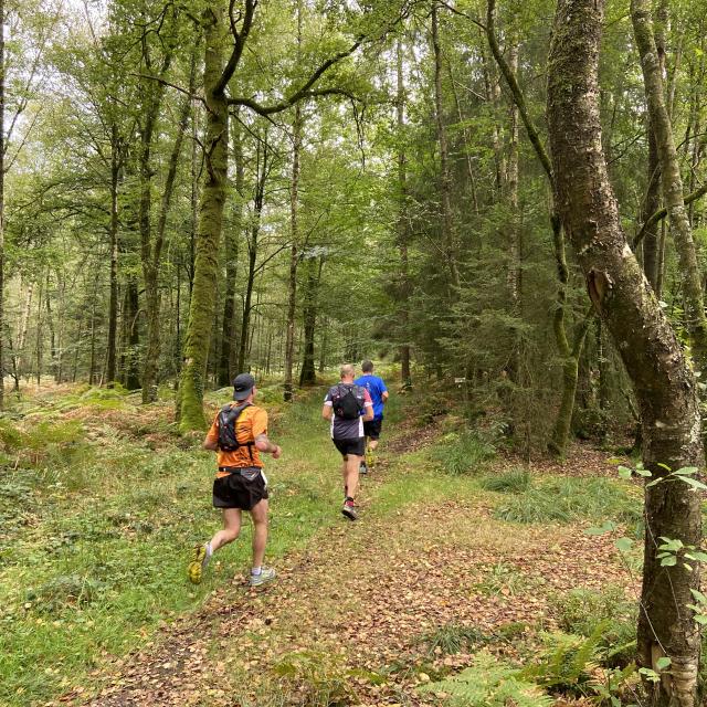 Bagnoles Orne Bebagnoles Bnt23 Etang Brisette Coureurs Trail Arbes Foret