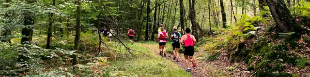 Bebagnoles Bagnoles Orne Bagnoles Normandie Trail Course Bnt Foret Semi Maratrail 21km 2023