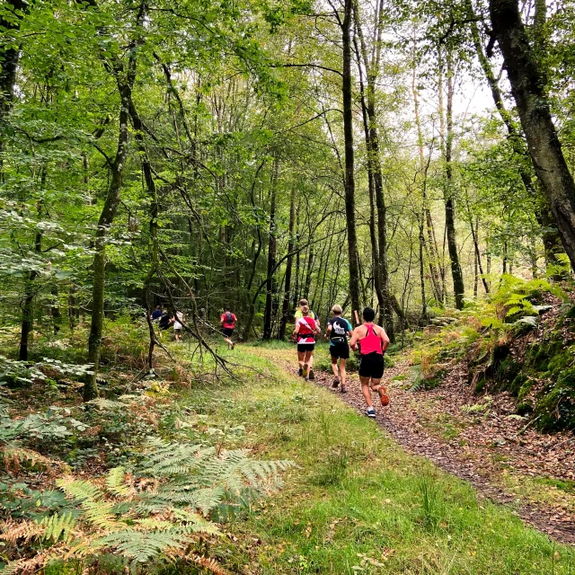 Bebagnoles Bagnoles Orne Bagnoles Normandie Trail Course Bnt Foret Semi Maratrail 21km 2023