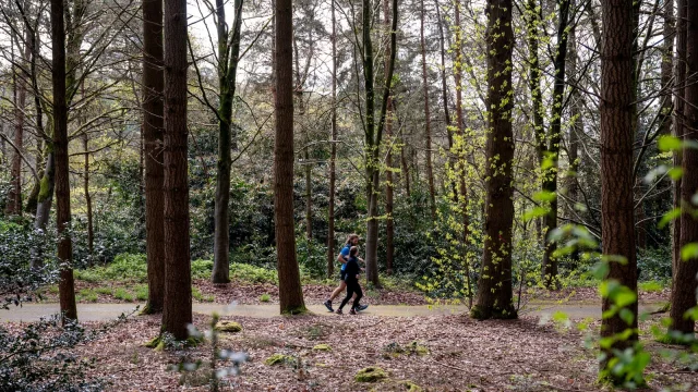 bagnoles-orne-bebagnoles-Trail-parc-chateau-CRT-stage-normandie-tourisme