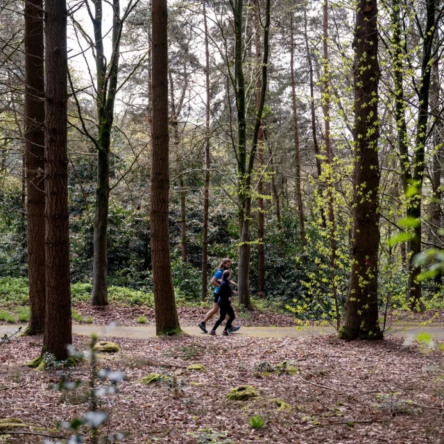 bagnoles-orne-bebagnoles-Trail-parc-chateau-CRT-stage-normandie-tourisme