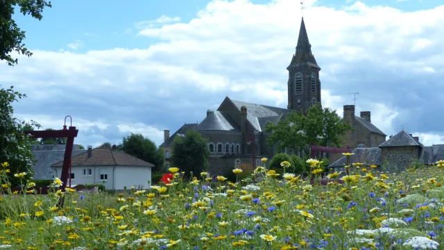 Saint Fraimbault Eglise Fleur Bocage Champs