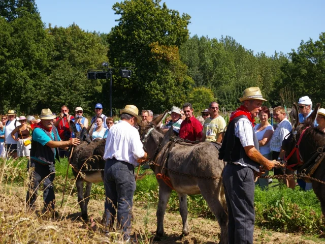 Saint Fraimbault Flories Antan Fete Fleurs Metier Agriculture