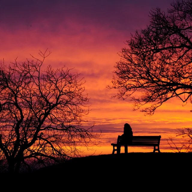 Bocage Destination Domfront Bagnoles Couche Soleil Nuit Orange Aurore Crepuscule Banc